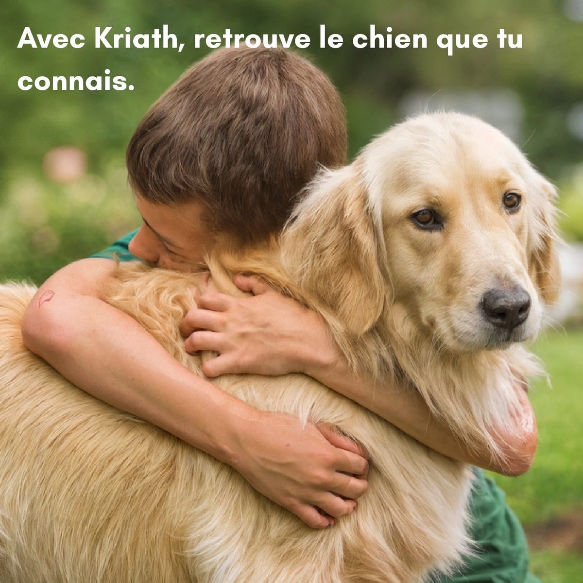 Collagène Triple Action Kriath Kriath 2