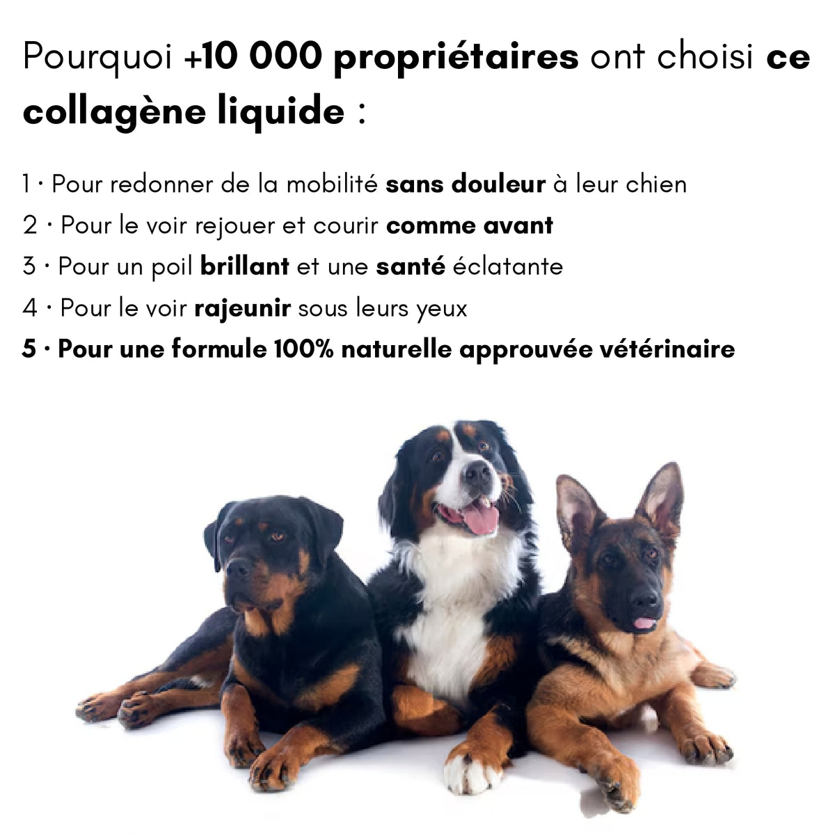 Collagène Triple Action Kriath Kriath 2