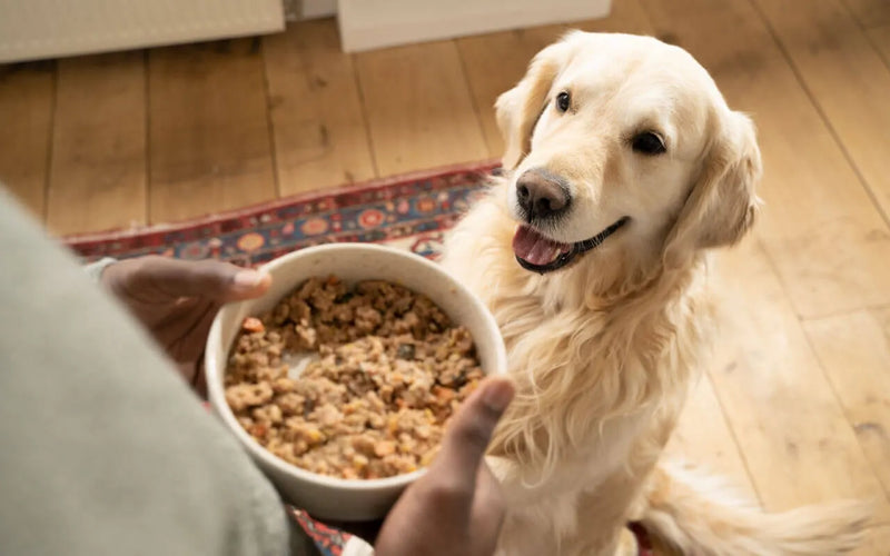 Mélangé à sa ration