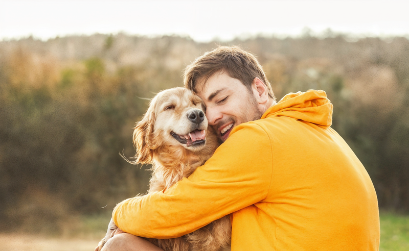 Chien heureux et en forme