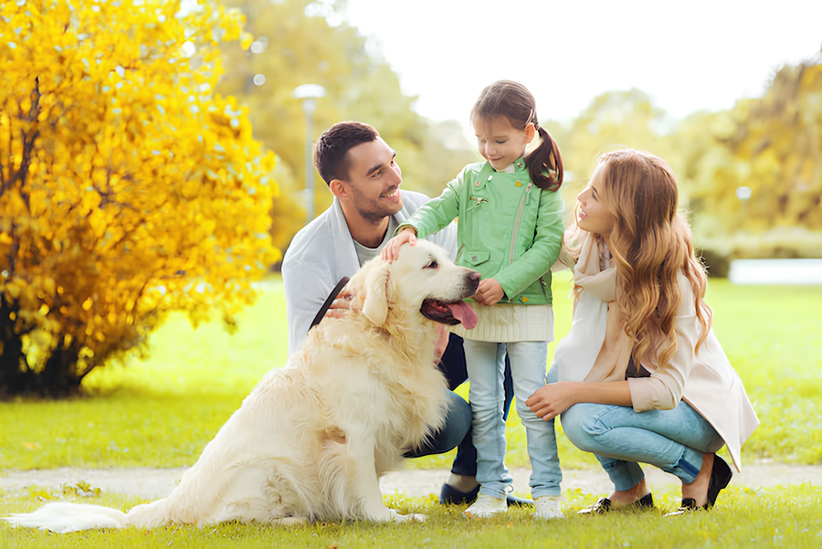 Propriétaire avec son chien