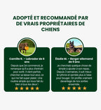 Collagène Triple Action Kriath Kriath 2
