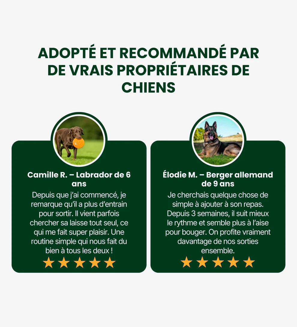 Collagène Triple Action Kriath Kriath 2